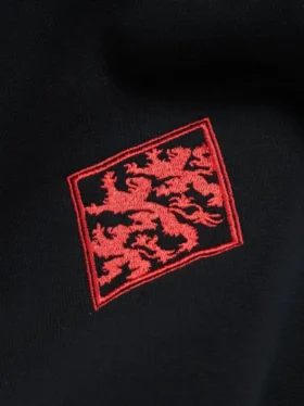 Bluza z okrągłym dekoltem DT Sport z kolorowymi wstawkami – czarna